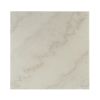 Telestis Coffee Table in White Marble & Black XH