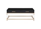 Adiel Coffee Table; Black & Gold Finish