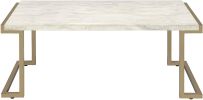 Boice II Coffee Table in Faux Marble & Champagne XH