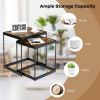 Living Room Set of 2PCS Modern Classic Yet Simper Nesting End Coffee Tables