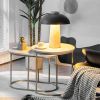 Living Room Set of 2PCS Modern Classic Yet Simper Nesting End Coffee Tables
